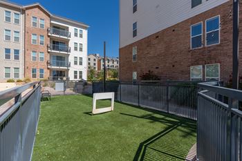 Green lawn area